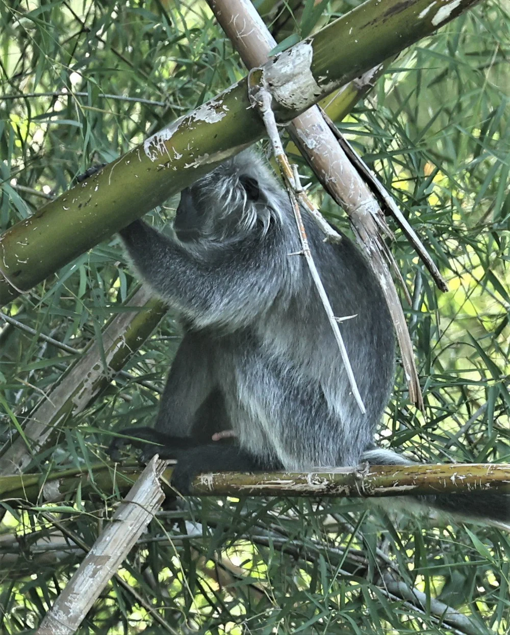 Qizlar bilan gozal jinsiy aloqa